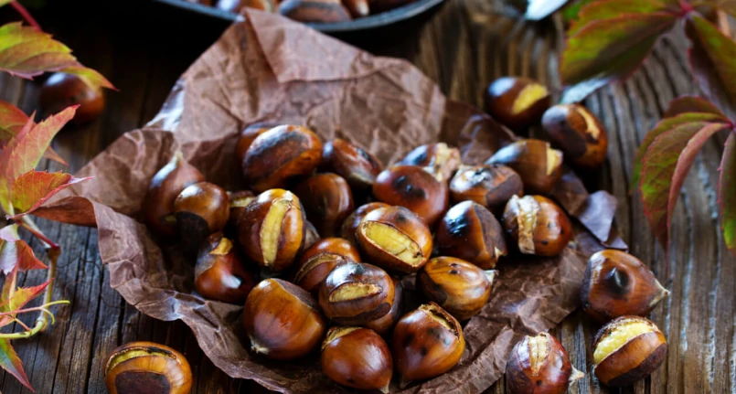 Chestnuts: pros and cons. When and how to eat them