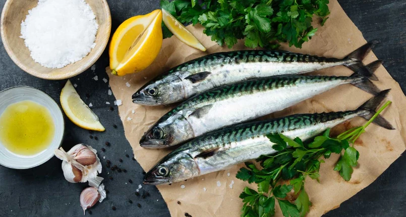 Diet Rich in Omega 3: The Best Recipes