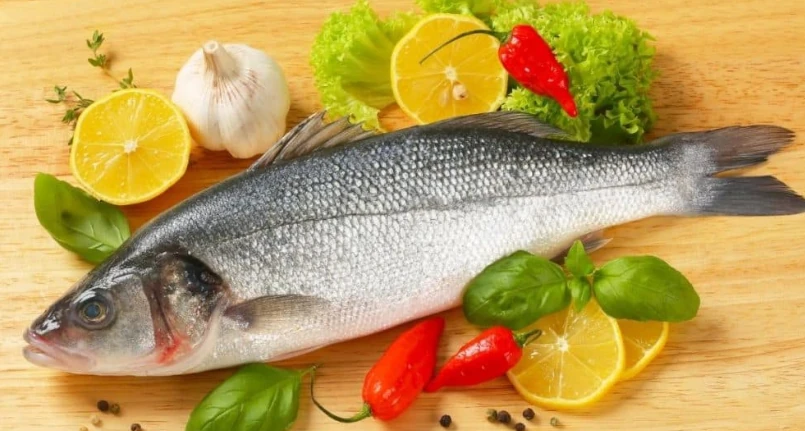 Fish with the highest protein content