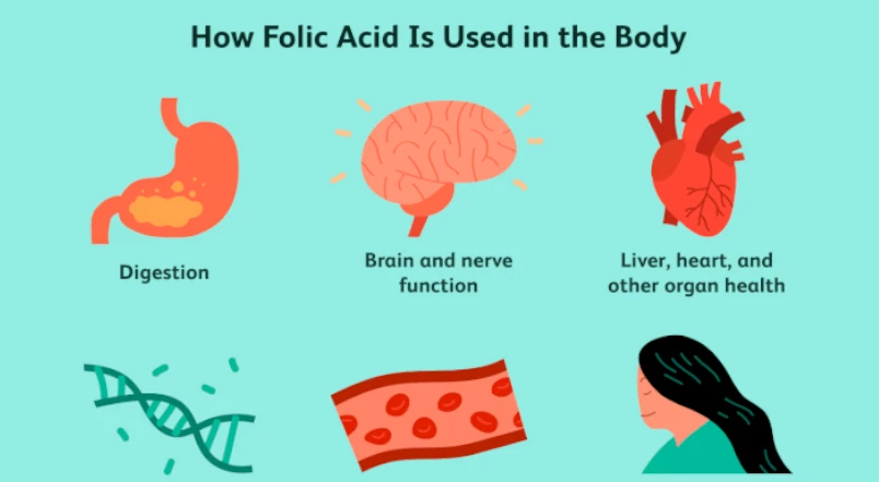 Folic acid and anemia