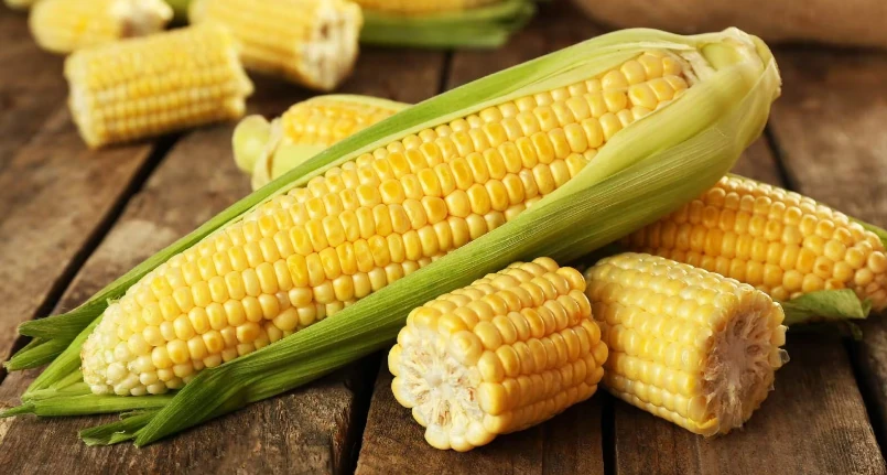 Is corn fattening?
