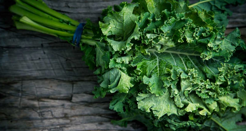 Kale: benefits and properties of curly kale