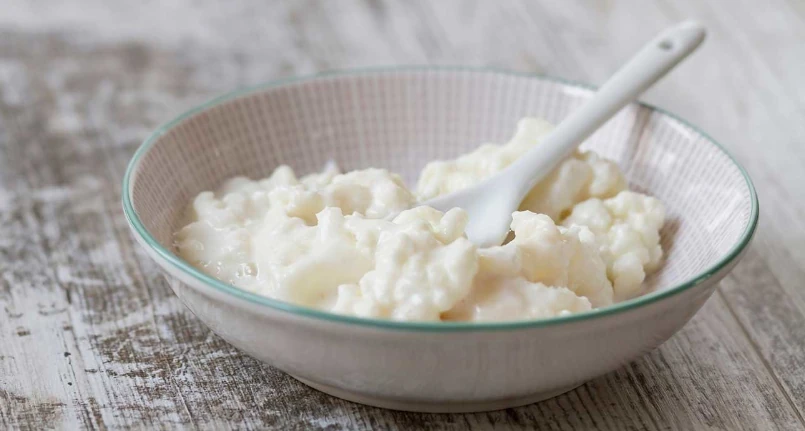 Kefir: how it acts on bacteria