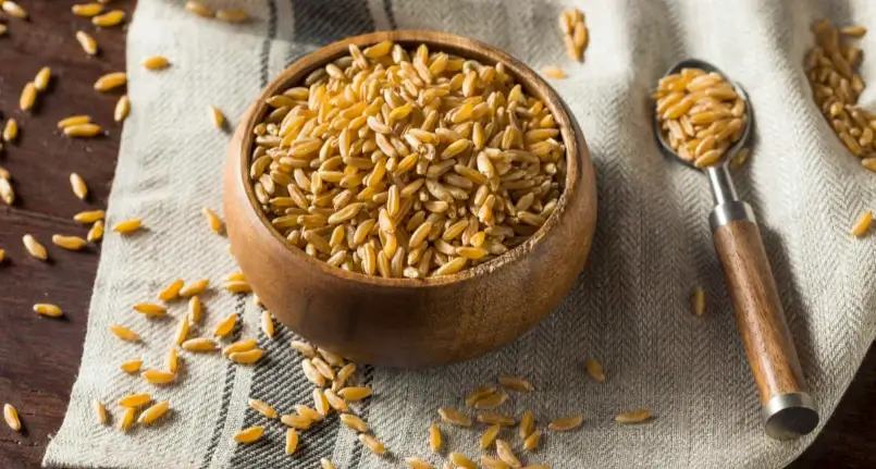 Khorasan wheat: what it is and benefits