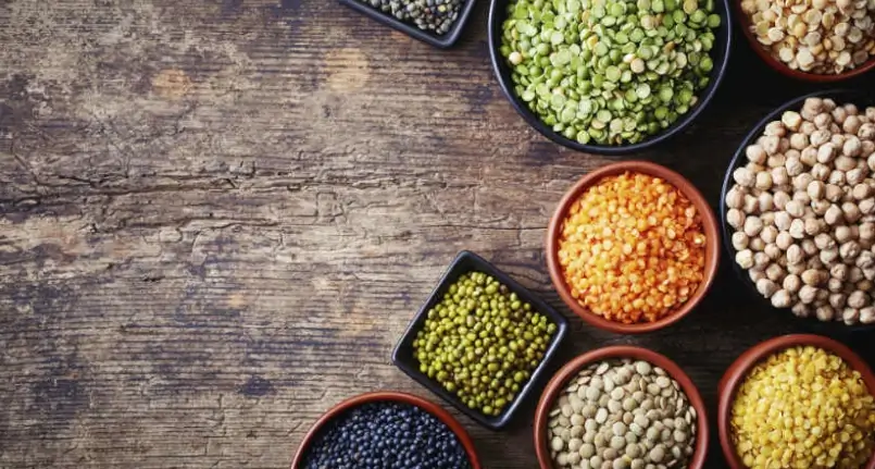 Legume proteins: what do you need to know?