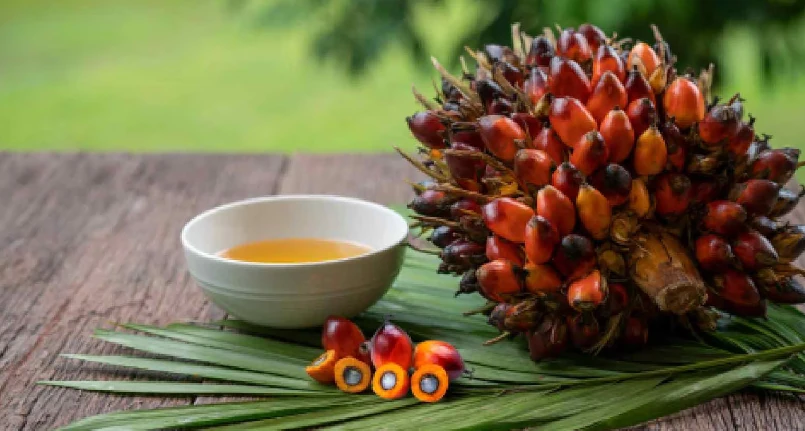 Palm oil: good or bad?