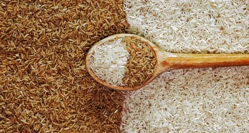 White Rice and Brown Rice: Which is Better