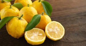 Yuzu: what it is, uses in the kitchen and beneficial properties