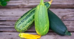 Zucchini: Types and Differences